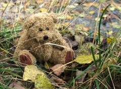 Fonds d'cran Objets Petit Ours d'automne....