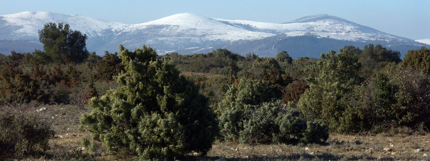 Fonds d'cran Voyages : Europe France > Languedoc-Roussillon Languedoc/Roussillon