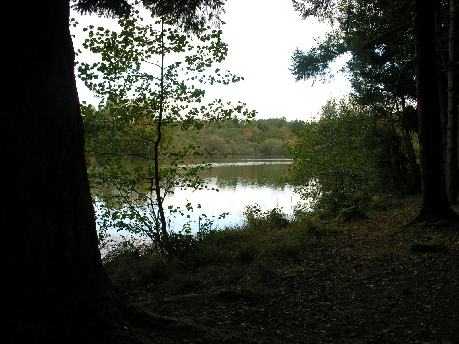 Fonds d'cran Nature Couchers et levers de Soleil 