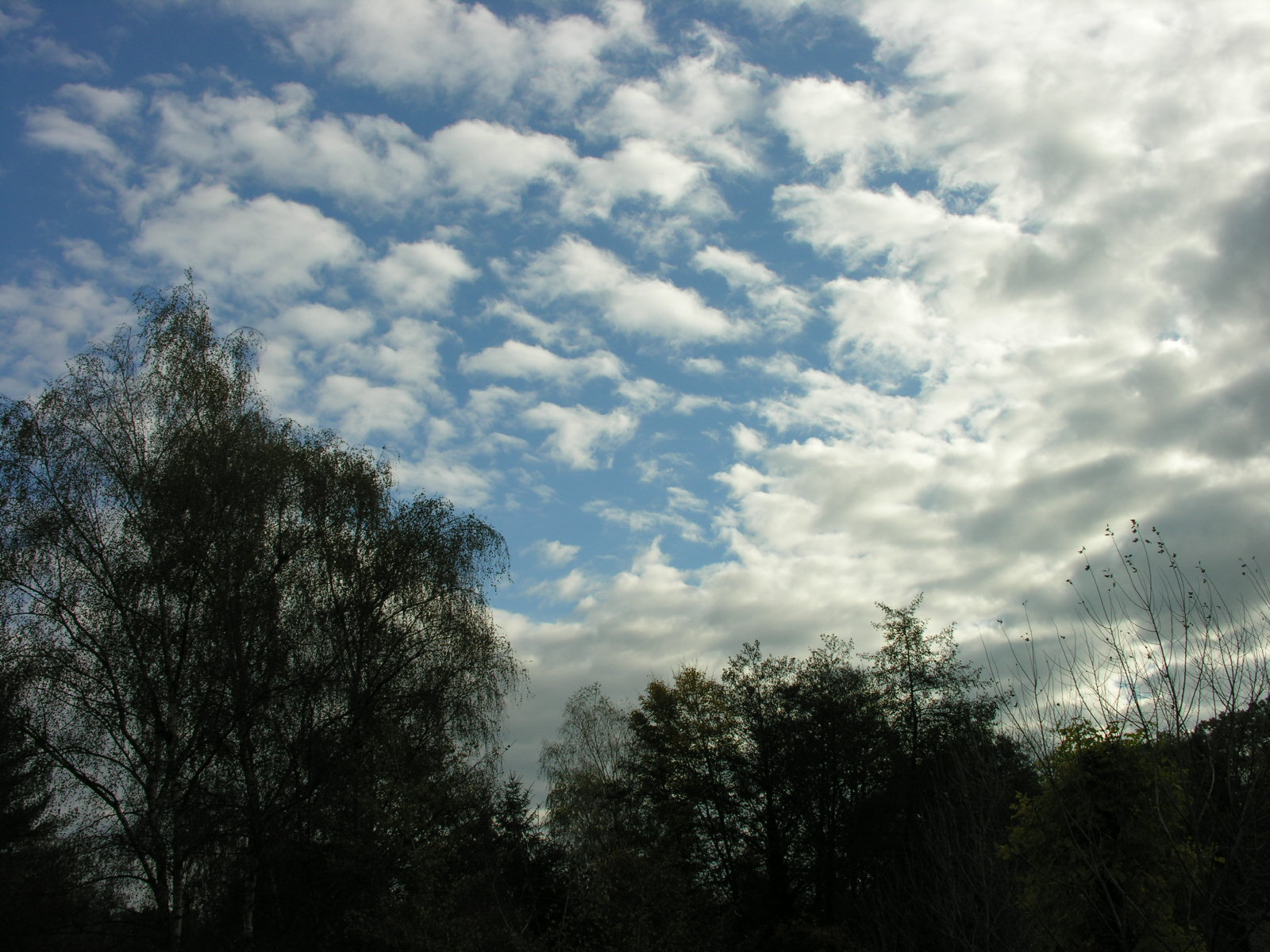 Wallpapers Nature Skies - Clouds 