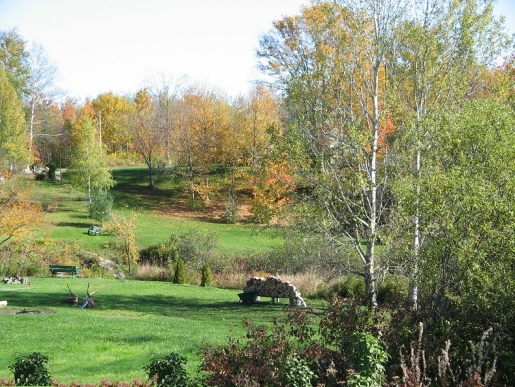 Fonds d'cran Nature Saisons - Automne Bled