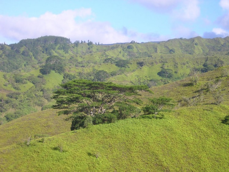 Fonds d'cran Nature Montagnes seul au monde