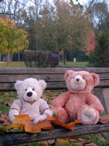 Fonds d'cran Objets Peluches Mes nounours  au parc