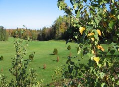 Fonds d'cran Nature Petits et grands