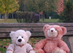 Fonds d'cran Objets Mes nounours  au parc