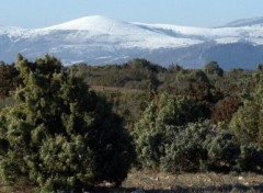 Fonds d'cran Voyages : Europe Languedoc/Roussillon