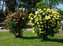 Wallpapers Nature Languedoc/Roussillon