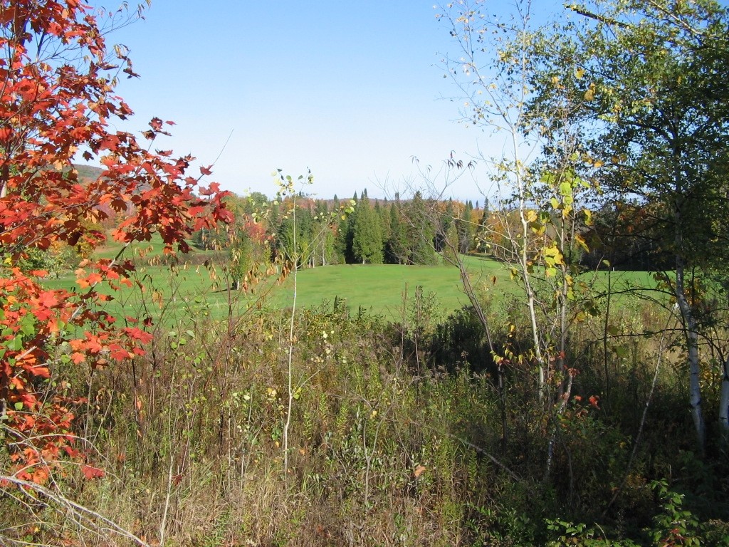 Fonds d'cran Nature Paysages Rouge et vert couvert de bleu