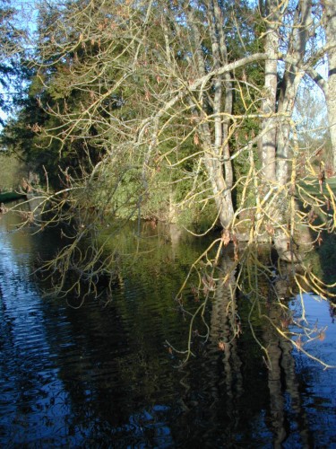 Wallpapers Nature Water - Reflection Reflets