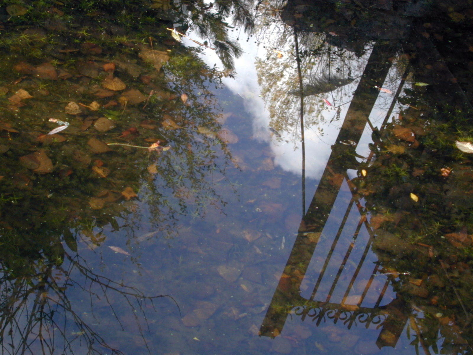 Fonds d'cran Nature Eau - Reflets Reflets