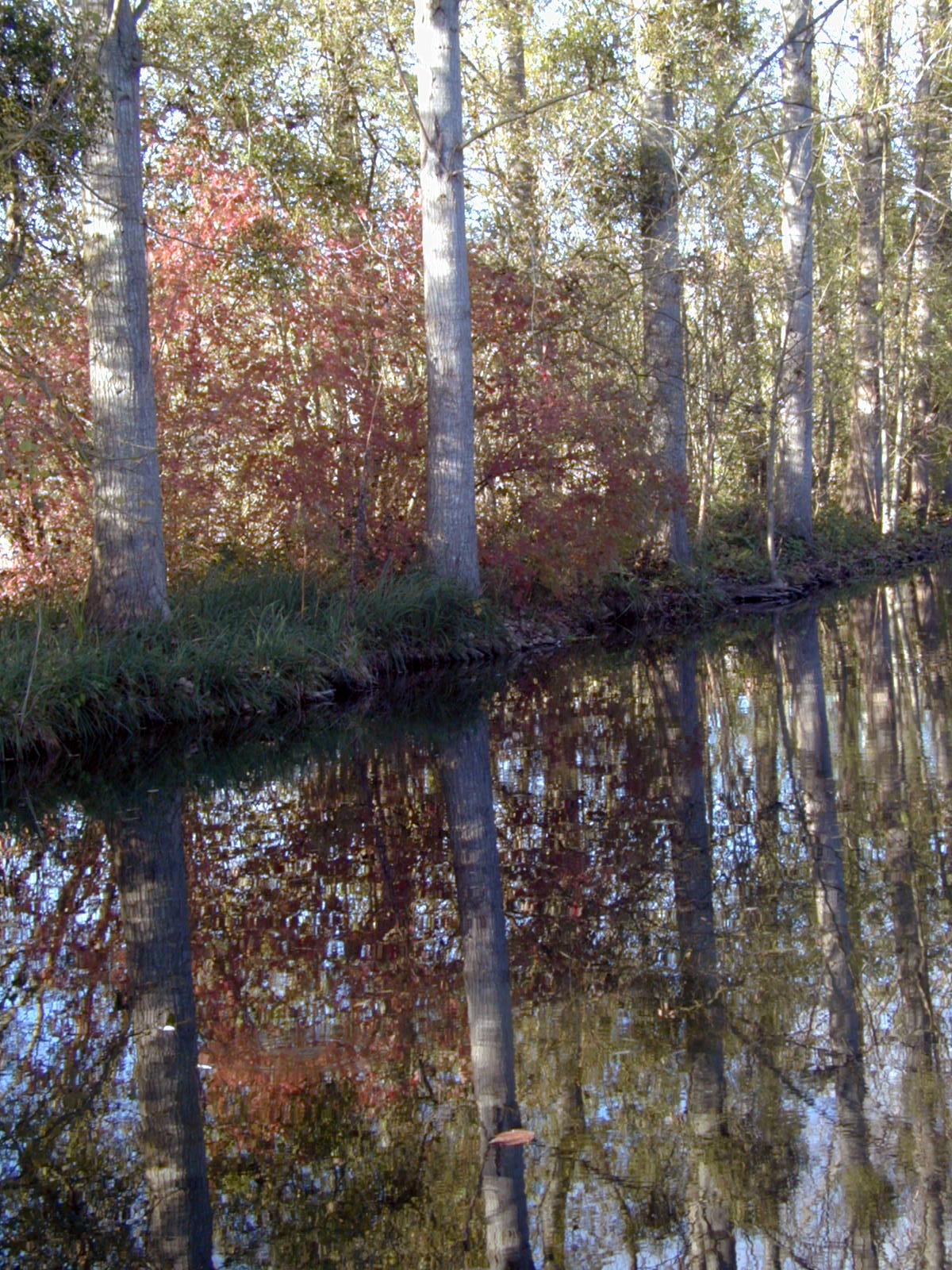 Wallpapers Nature Water - Reflection Reflets