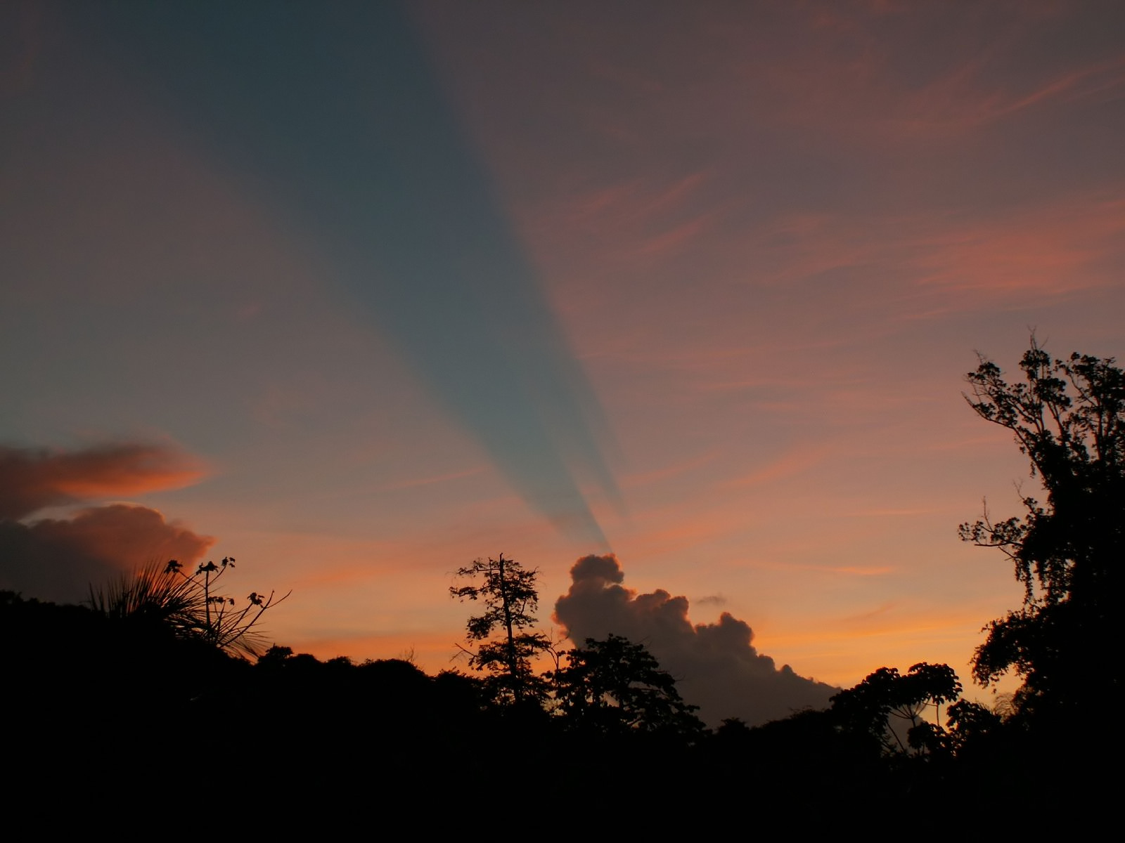 Fonds d'cran Nature Couchers et levers de Soleil Rayons clestes