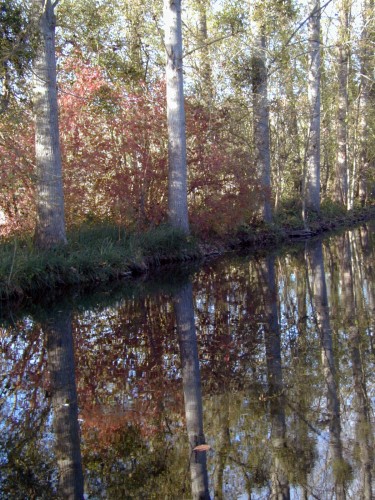 Wallpapers Nature Water - Reflection Reflets