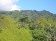 Fonds d'cran Nature suite et fin