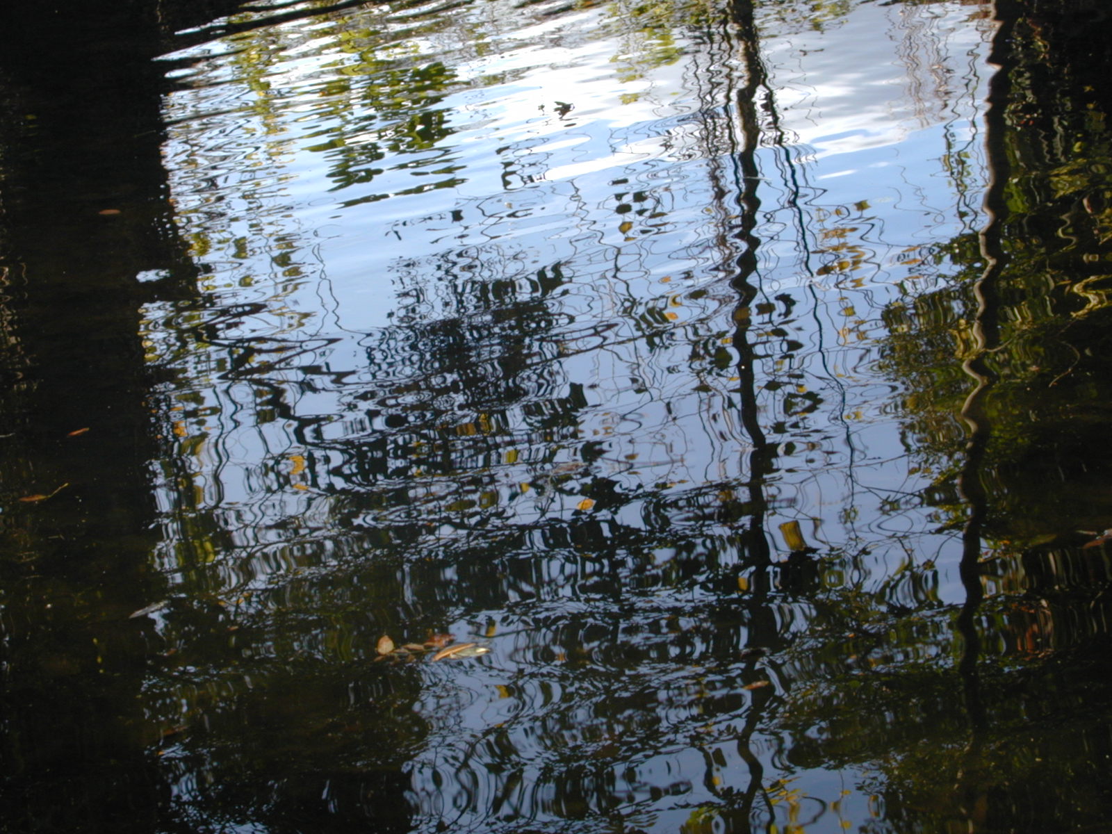 Wallpapers Nature Water - Reflection Reflets