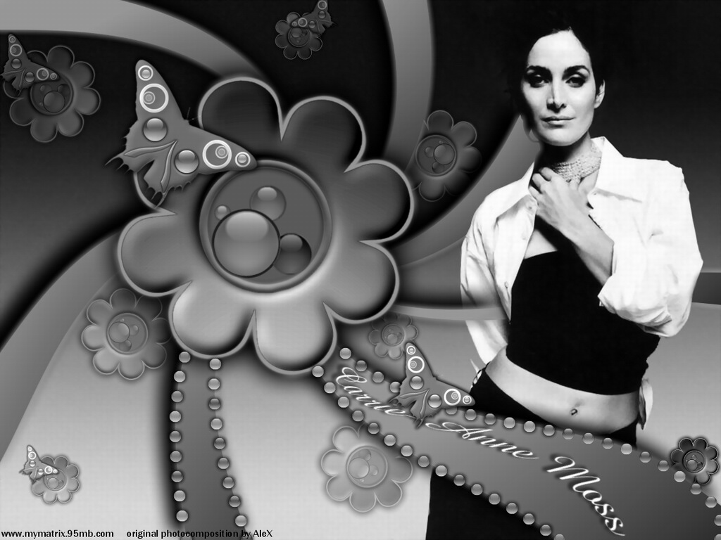 Wallpapers Celebrities Women Carrie-Anne Moss I love black&white