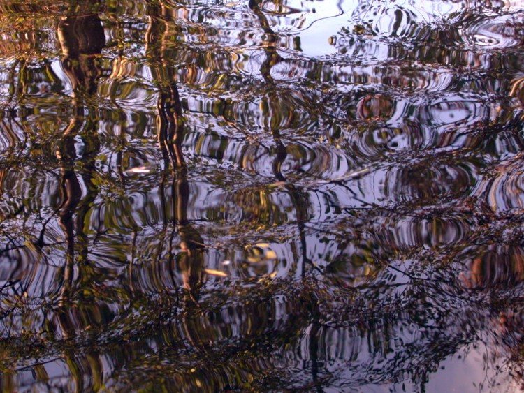 Wallpapers Nature Water - Reflection Reflets