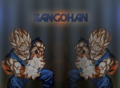 Wallpapers Manga Sangohan