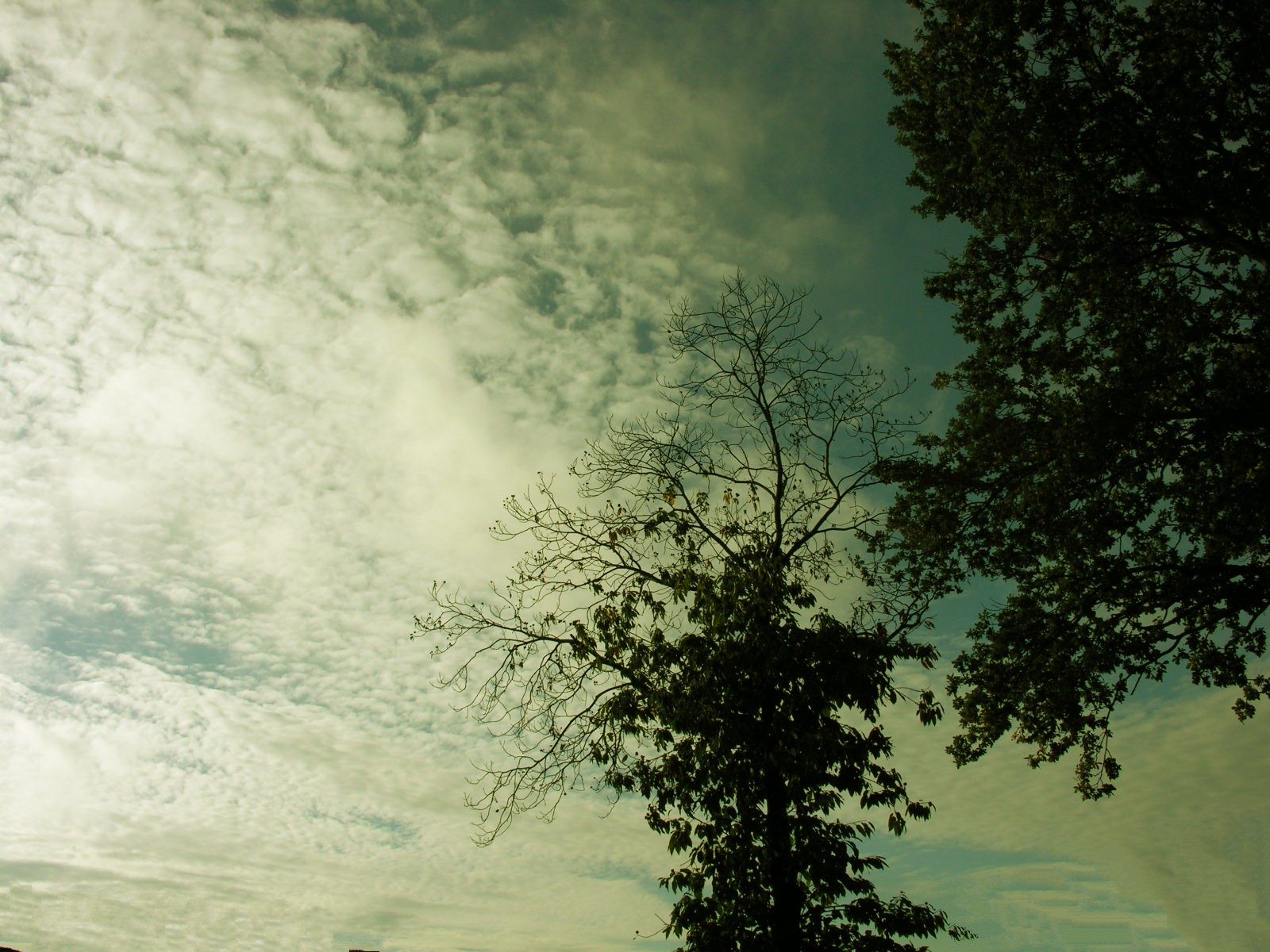 Wallpapers Nature Skies - Clouds 