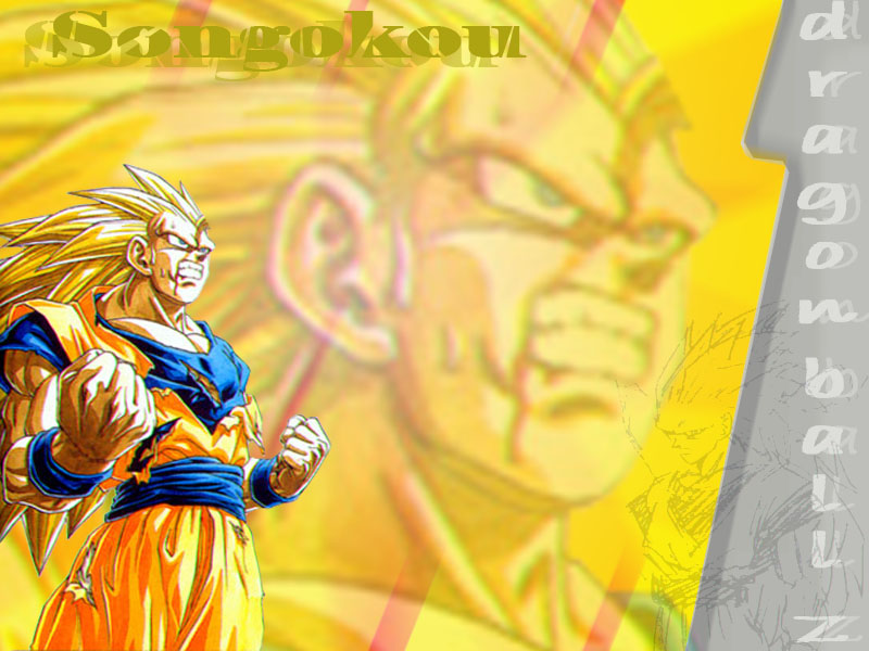 Fonds d'cran Manga Dragon Ball Z Songokou 3