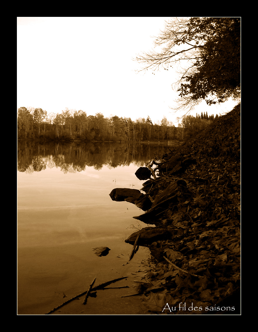 Wallpapers Nature Lakes - Ponds Bord de lac  l'automne