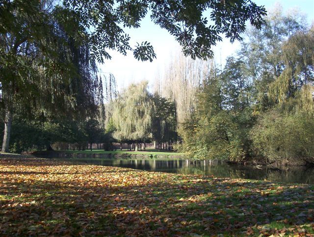 Fonds d'cran Nature Parcs - Jardins Parc d'hombire 02