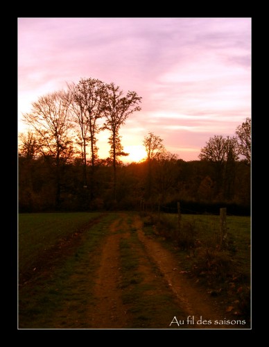 Fonds d'cran Nature Couchers et levers de Soleil Chemin de campagne,ce soir...