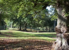 Fonds d'cran Nature Parc en automne