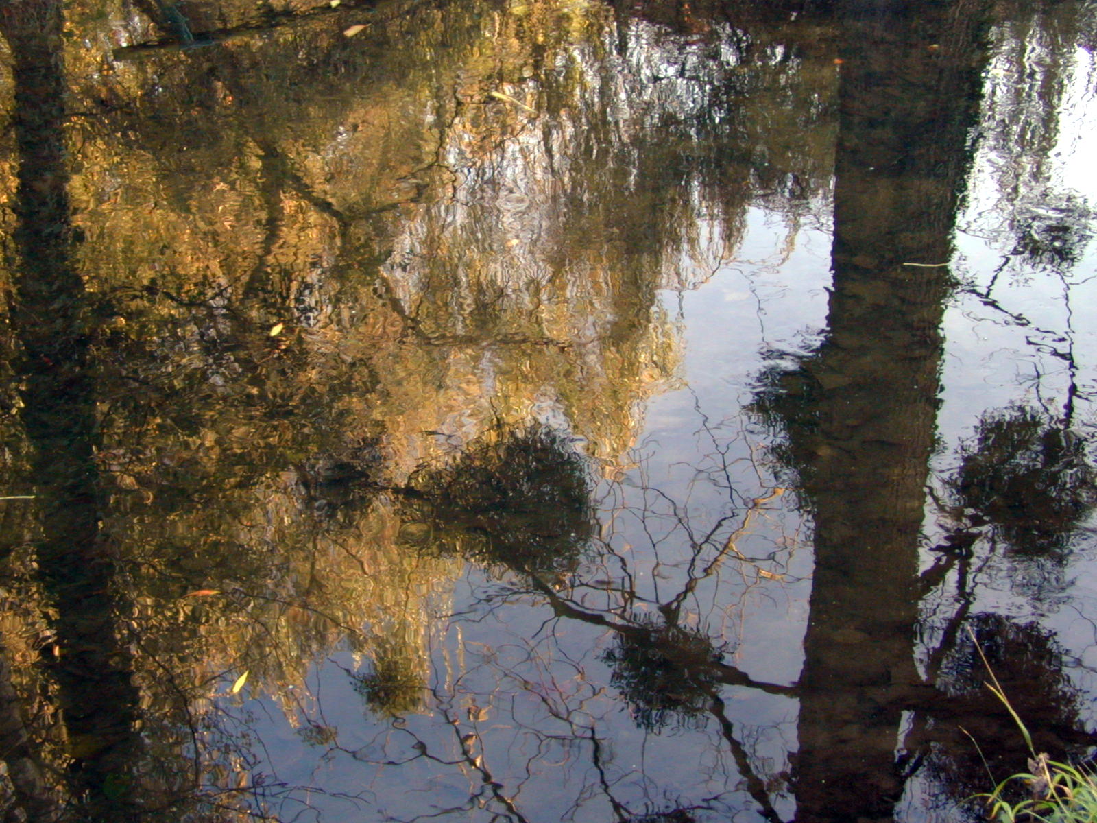 Wallpapers Nature Water - Reflection Reflets