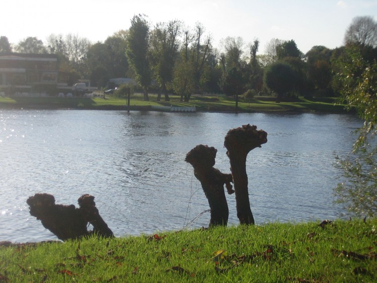 Fonds d'cran Nature Fleuves - Rivires - Torrents Caravane de dromadaires sur seine!!