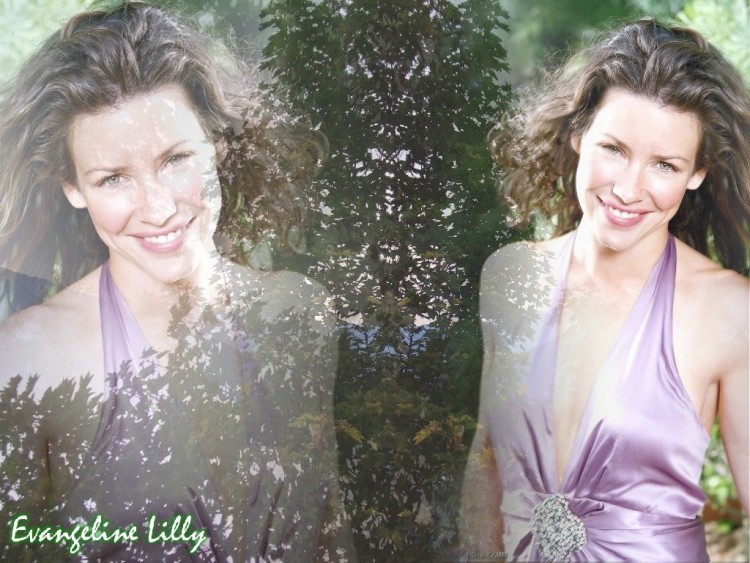 Wallpapers Celebrities Women Evangeline Lilly Wallpaper N122510