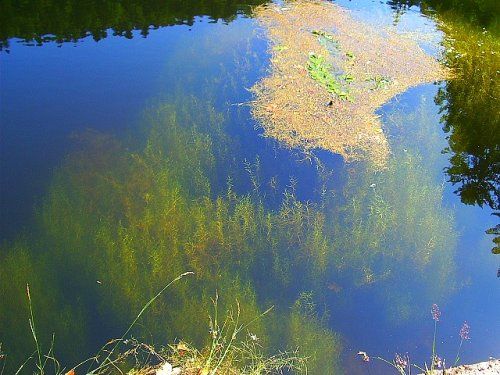 Wallpapers Nature Lakes - Ponds le lac des montagnes