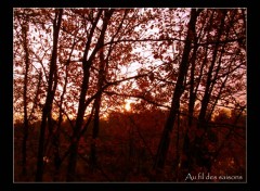 Fonds d'cran Nature Soir d'automne