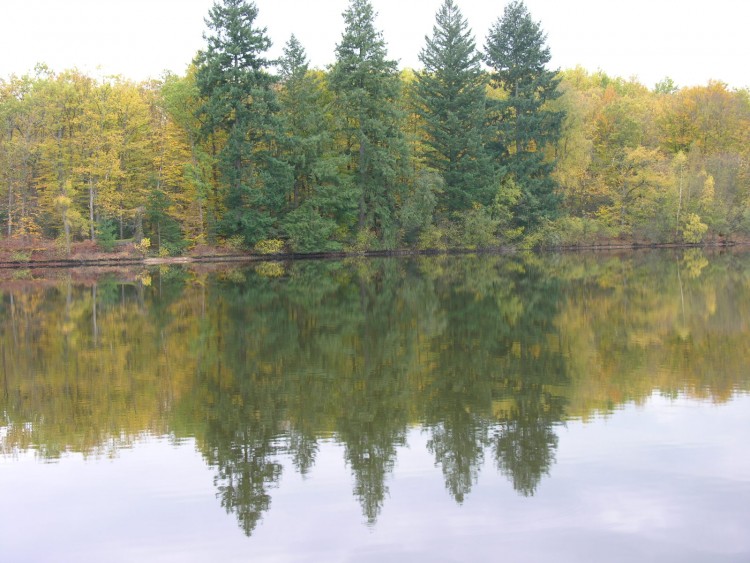 Fonds d'cran Nature Couchers et levers de Soleil Reflets d'automne