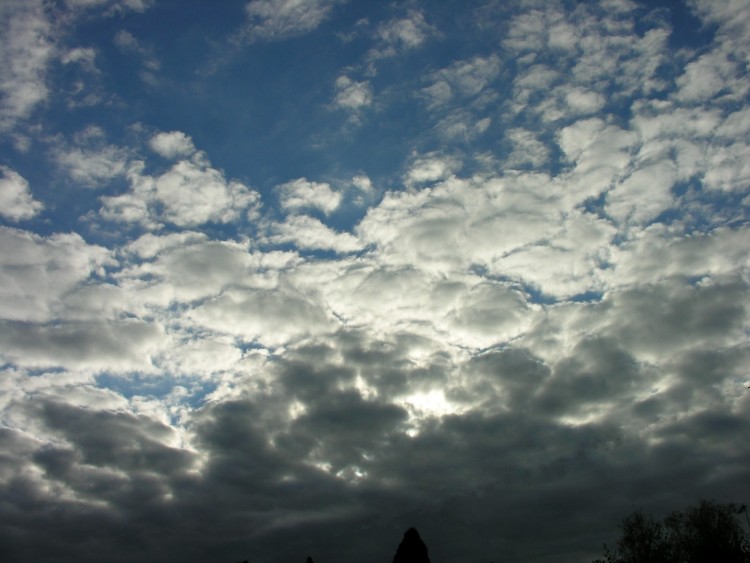 Wallpapers Nature Skies - Clouds Wallpaper N122633