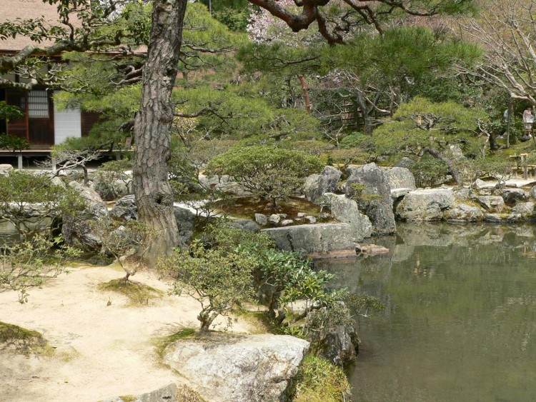 Fonds d'cran Voyages : Asie Japon Jardin de mousse