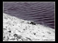 Fonds d'cran Nature Au bord d'un barrage d'eau