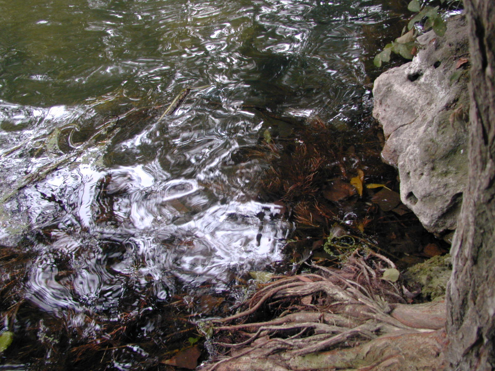 Fonds d'cran Nature Eau - Reflets Reflets