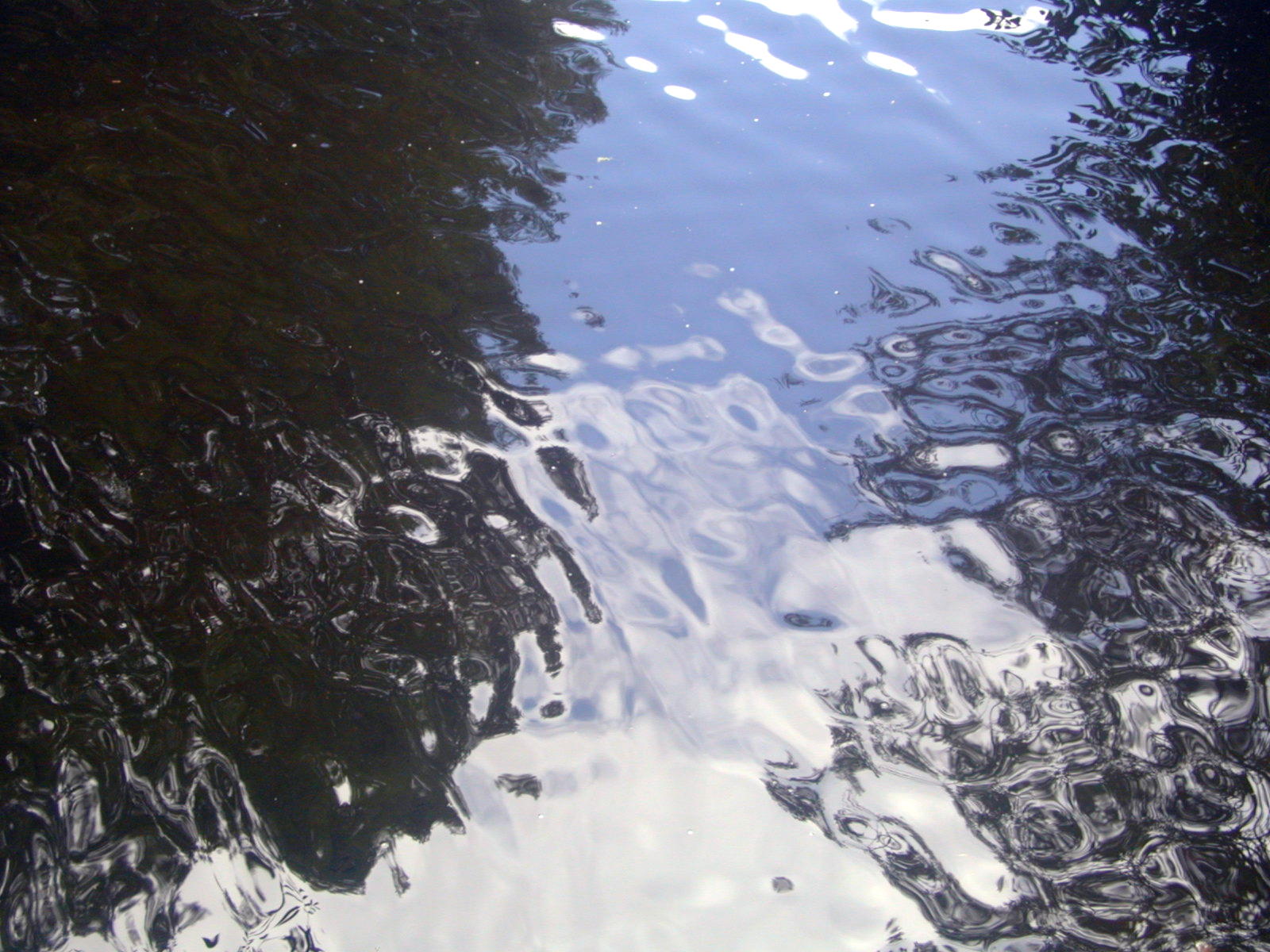 Wallpapers Nature Water - Reflection Reflets