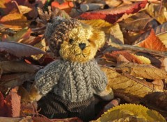 Fonds d'cran Objets Petit Ours d'automne...