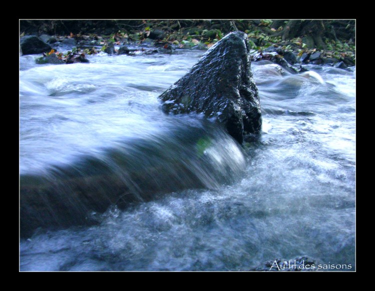 Fonds d'cran Nature Fleuves - Rivires - Torrents Riviere d'Uzurat 2,Limoges