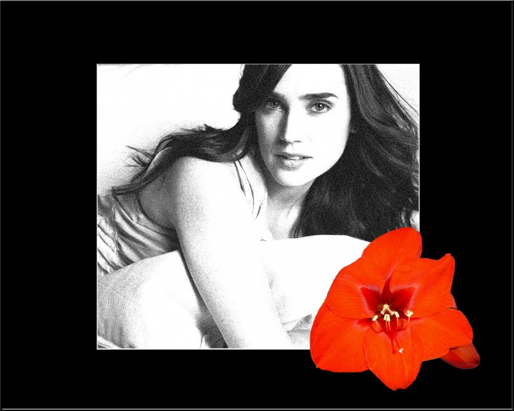 Wallpapers Celebrities Women Jennifer Connelly Jennifer