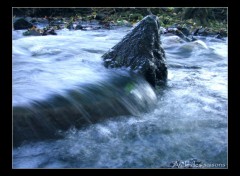 Fonds d'cran Nature Riviere d'Uzurat 2,Limoges