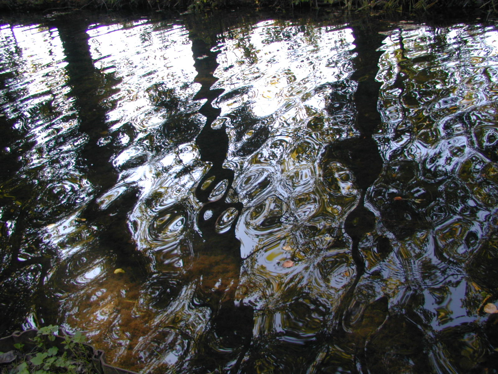 Wallpapers Nature Water - Reflection Reflets