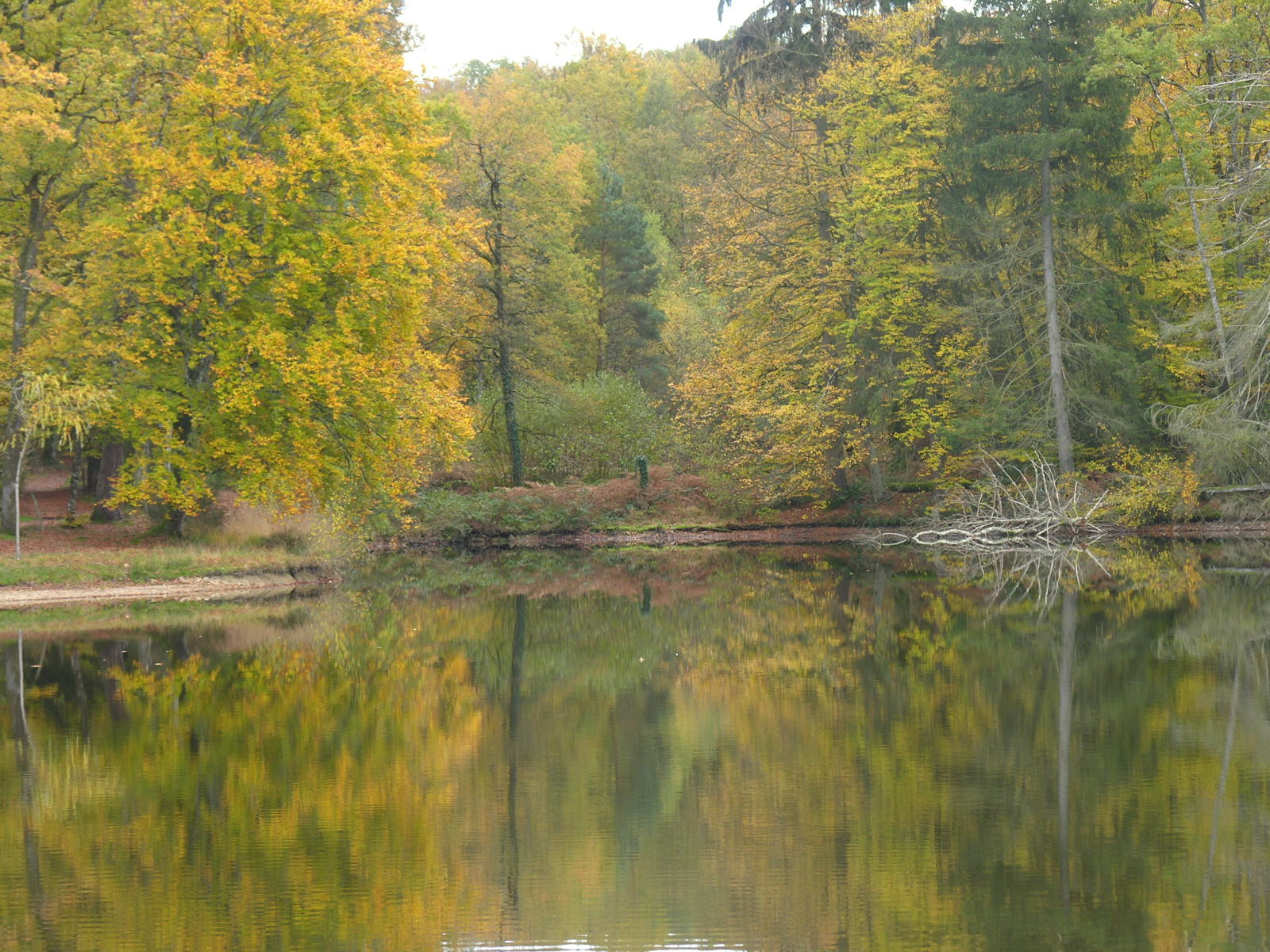 Fonds d'cran Nature Couchers et levers de Soleil 