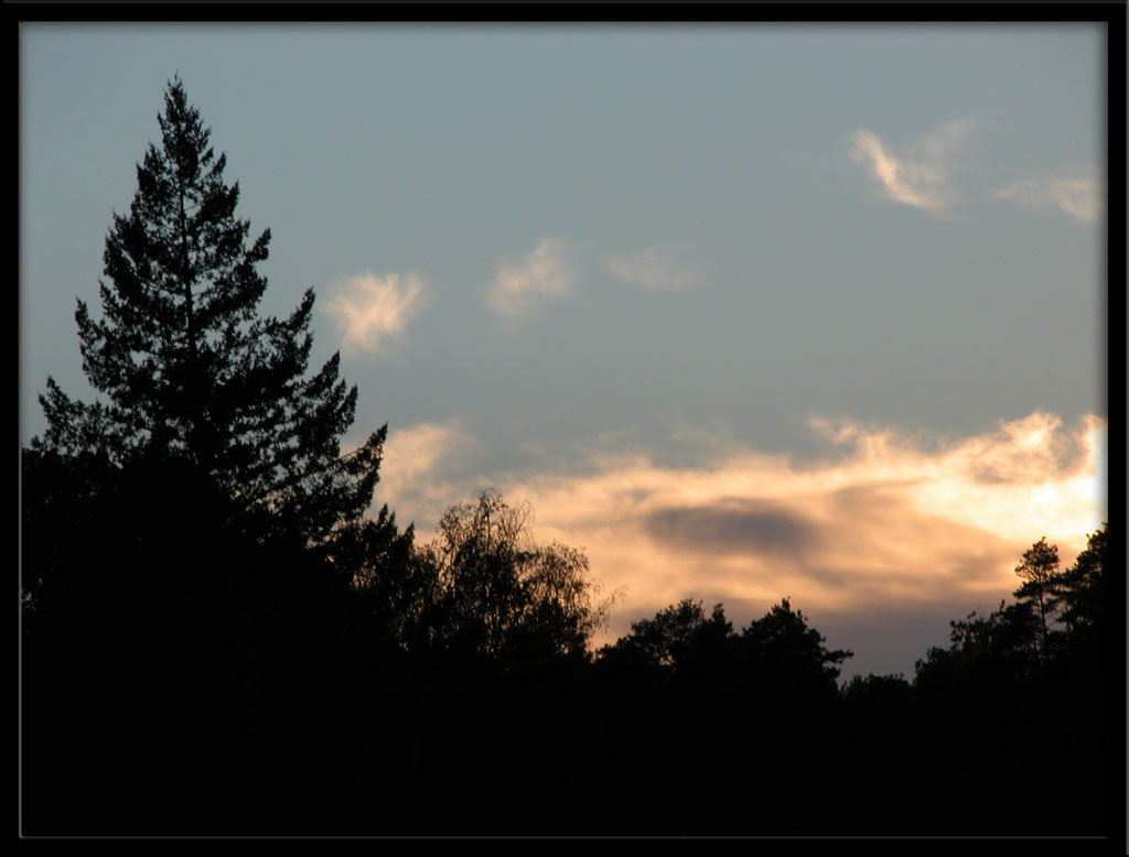 Fonds d'cran Nature Couchers et levers de Soleil Ciel du soir