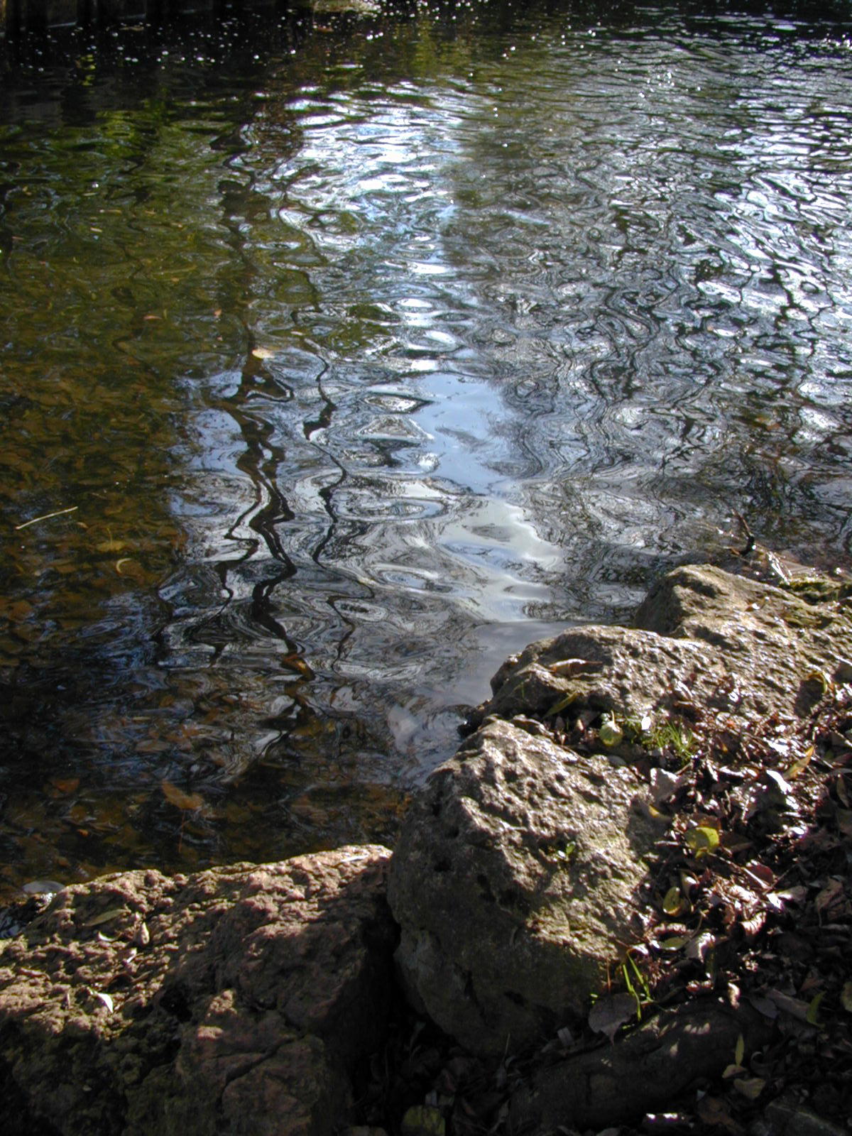 Wallpapers Nature Water - Reflection Reflets