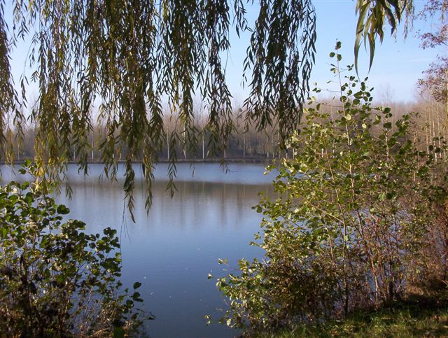 Fonds d'cran Nature Lacs - Etangs Reflets d'automne