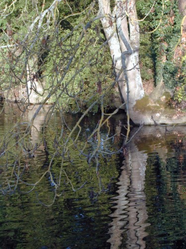 Wallpapers Nature Water - Reflection Reflets