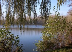 Fonds d'cran Nature Reflets d'automne